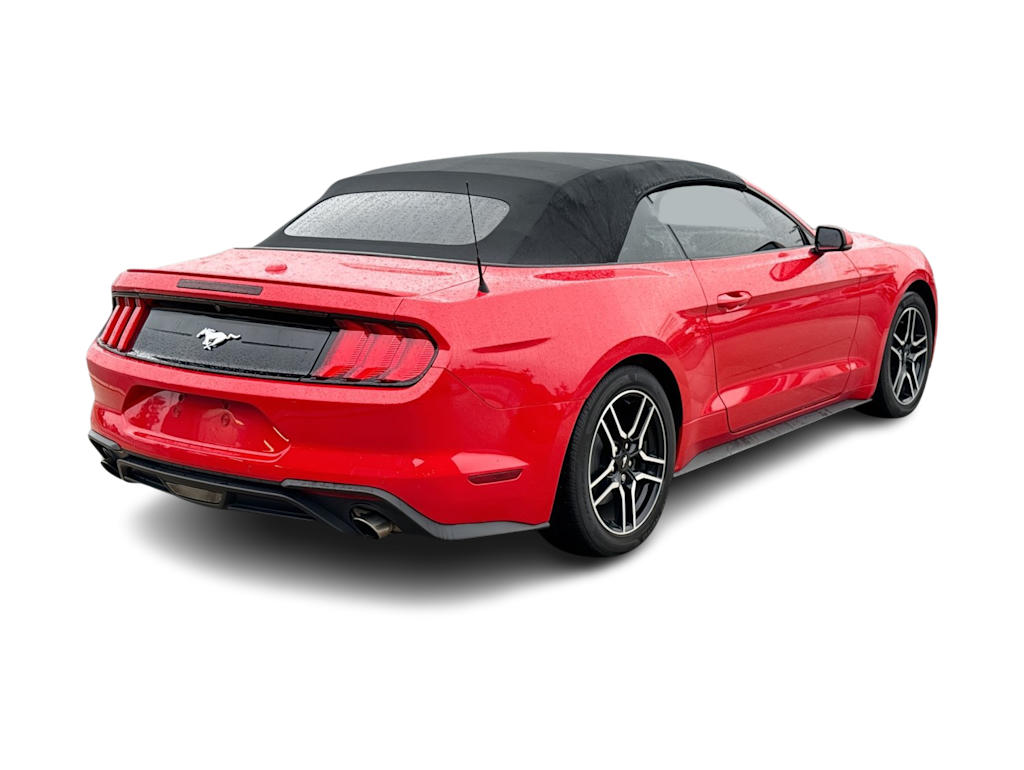 Thumbnail: 2019 Ford Mustang - 20