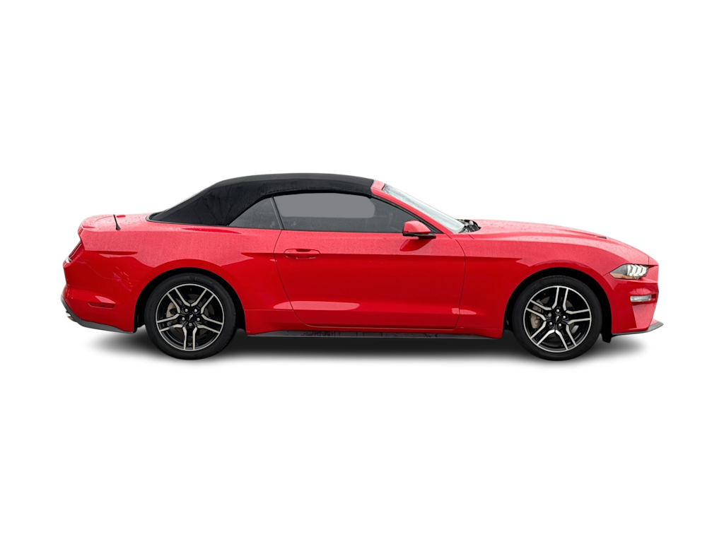 Thumbnail: 2019 Ford Mustang - 21