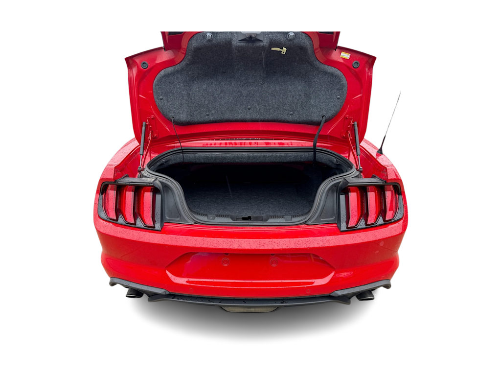 Thumbnail: 2019 Ford Mustang - 17
