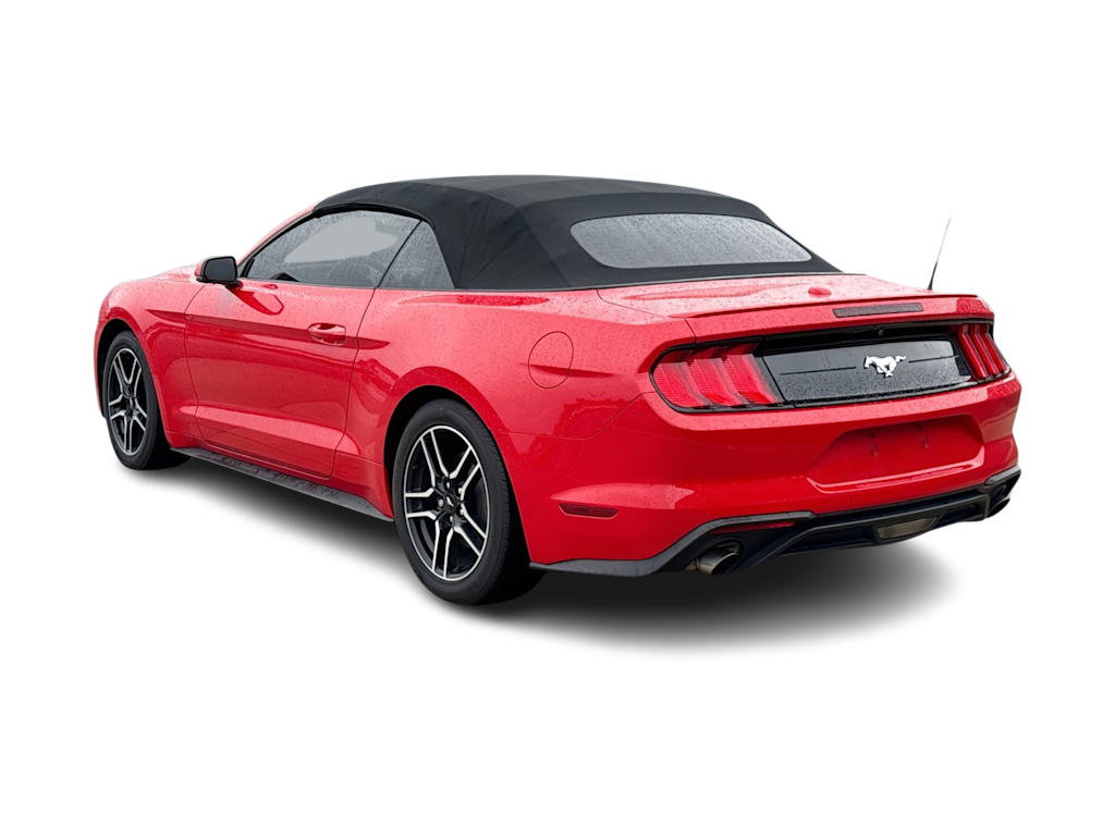 Thumbnail: 2019 Ford Mustang - 4