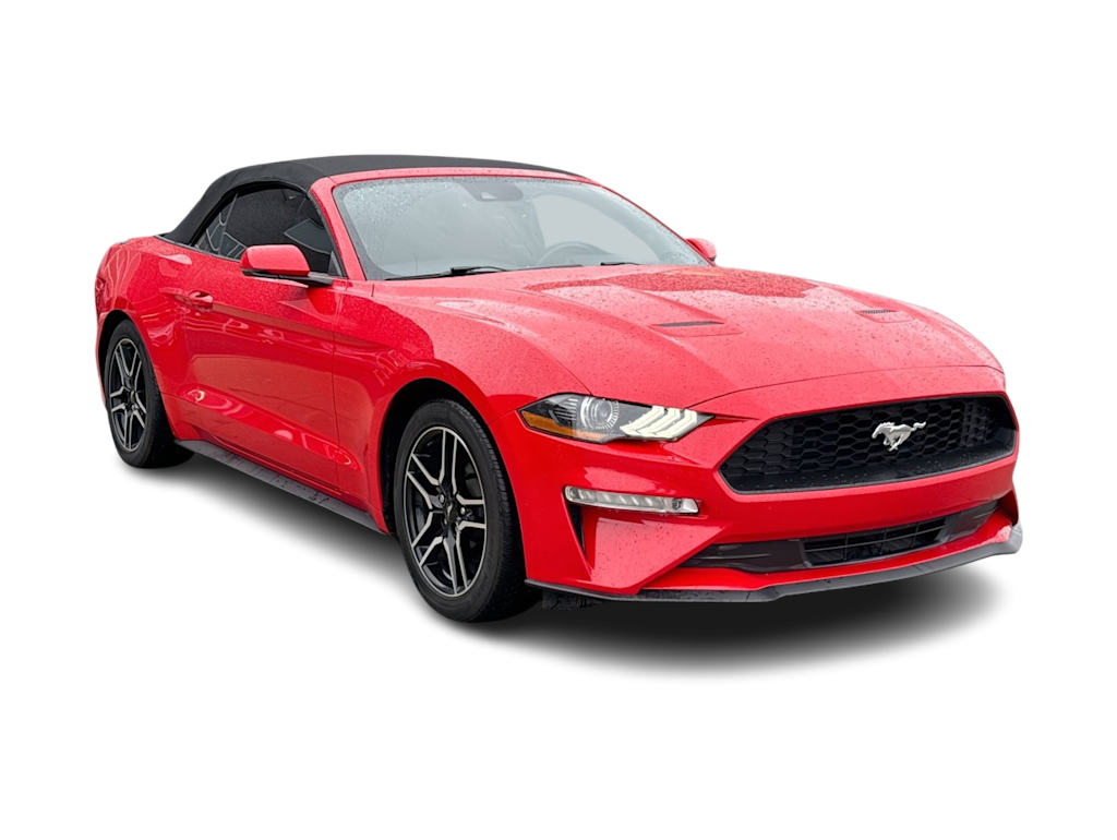 Thumbnail: 2019 Ford Mustang - 22