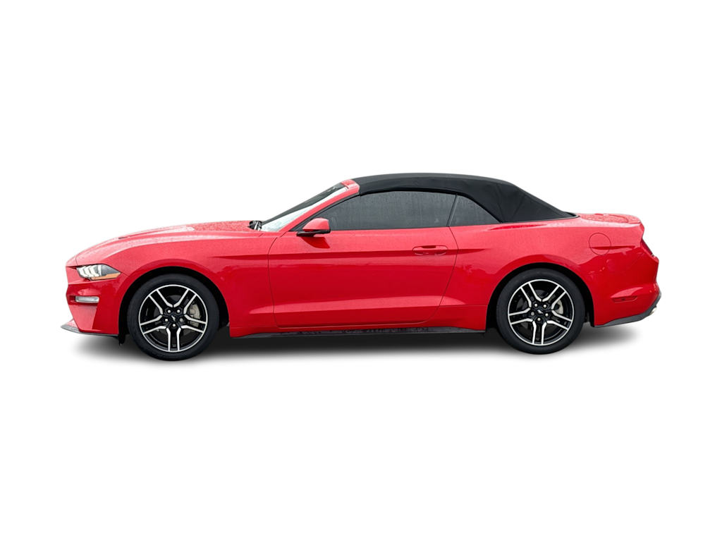 Thumbnail: 2019 Ford Mustang - 3