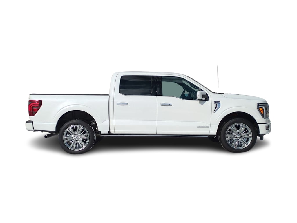 2024 Ford F-150 Platinum 20