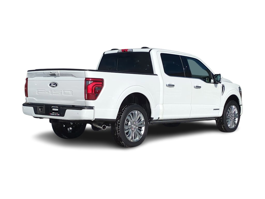 2024 Ford F-150 Platinum 19