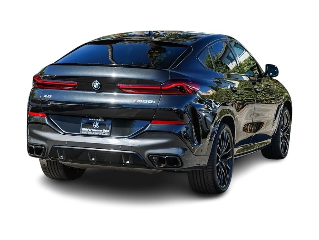 Thumbnail: 2024 BMW X6 - 17