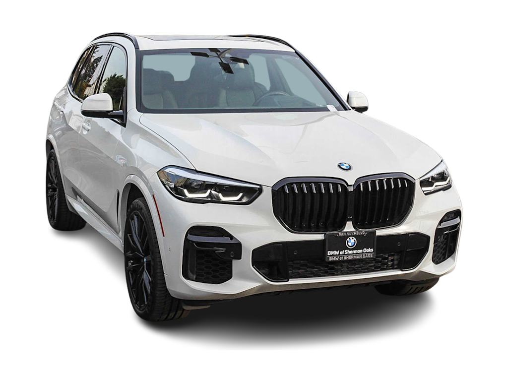 2022 BMW X5 sDrive40i 17