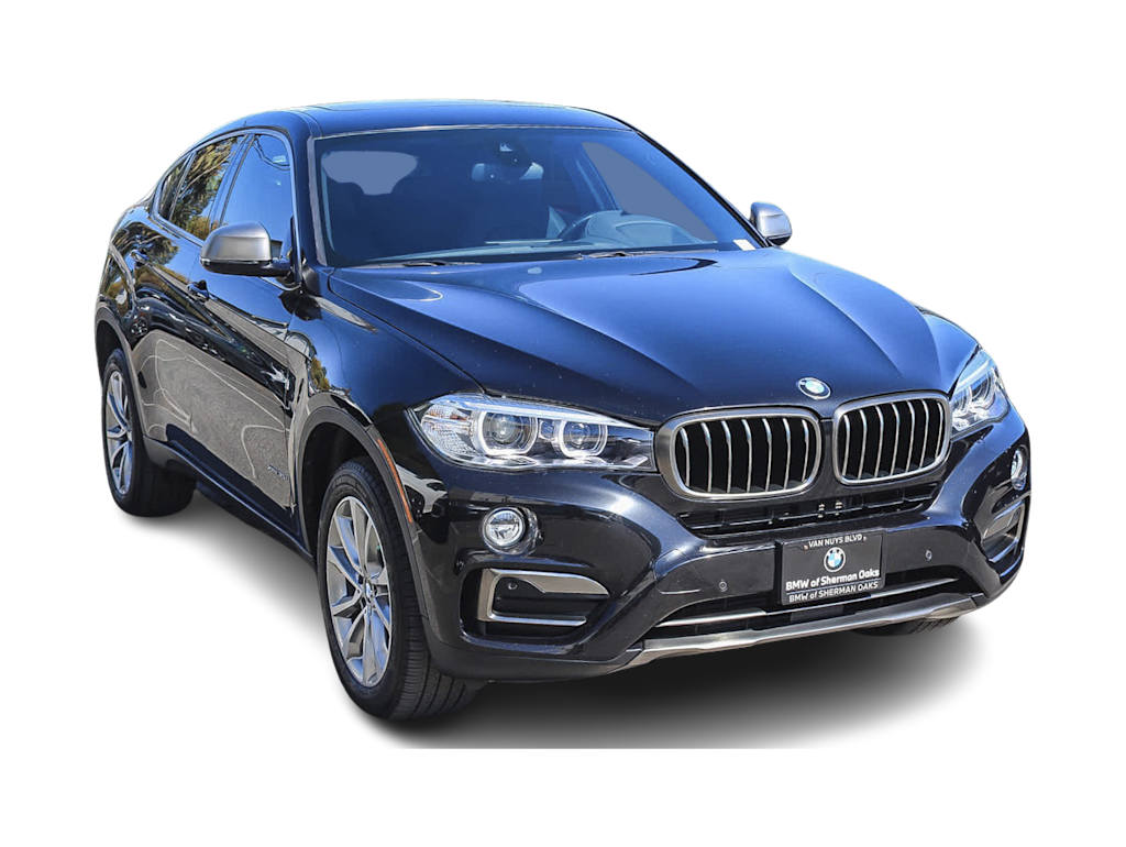 2018 BMW X6 xDrive35i 19