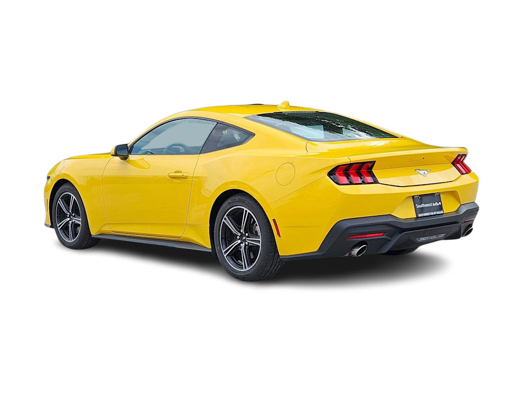 2024 Ford Mustang  4