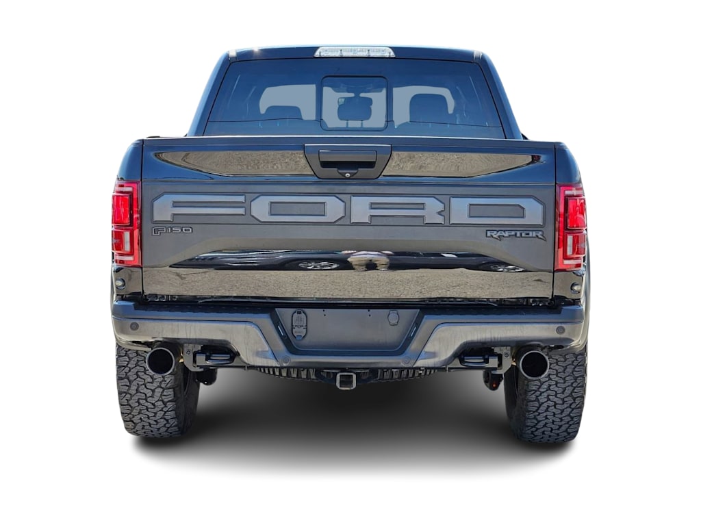 2020 Ford F-150 Raptor 5