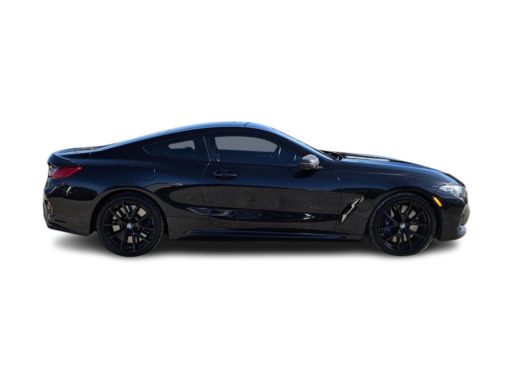Thumbnail: 2020 BMW 8 Series - 19