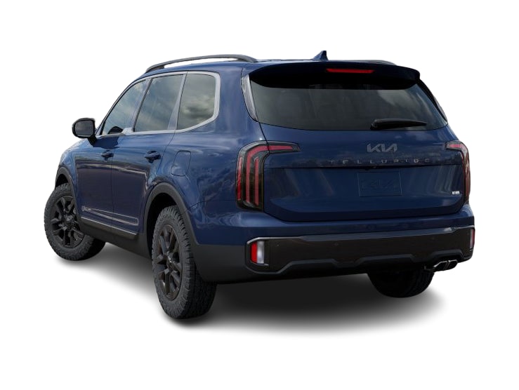 2025 Kia Telluride EX 3