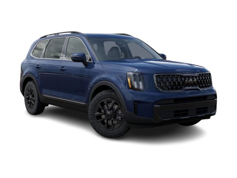 2025 Kia Telluride EX 19