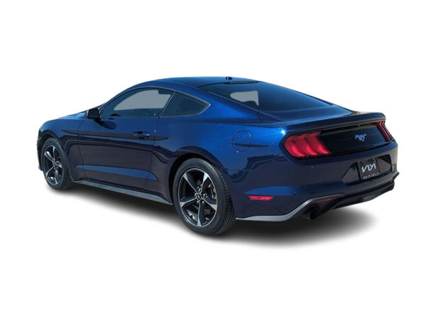 2019 Ford Mustang  4