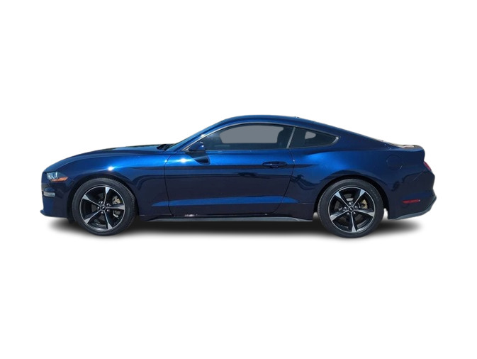 2019 Ford Mustang  3