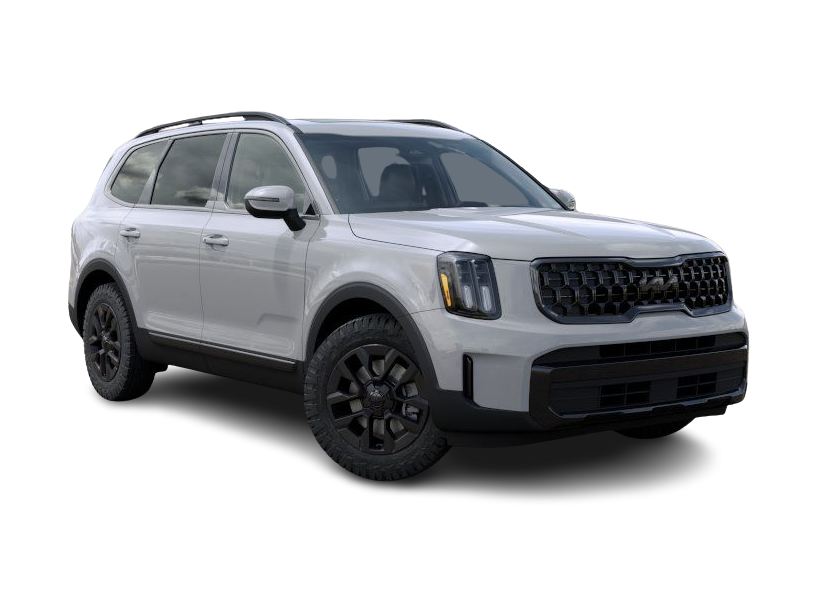 2025 Kia Telluride EX 17
