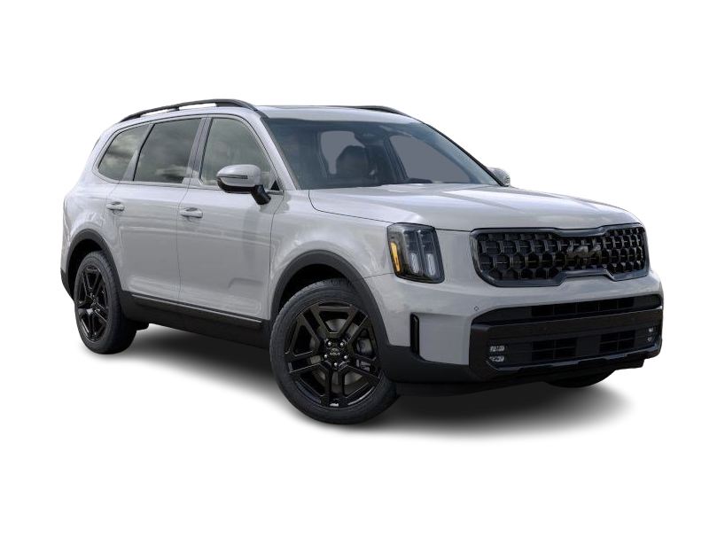 2025 Kia Telluride SX 17