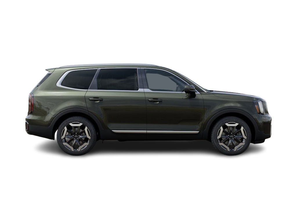 2025 Kia Telluride EX 17
