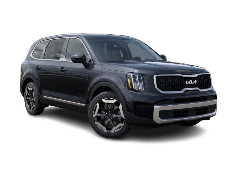 2025 Kia Telluride EX 18