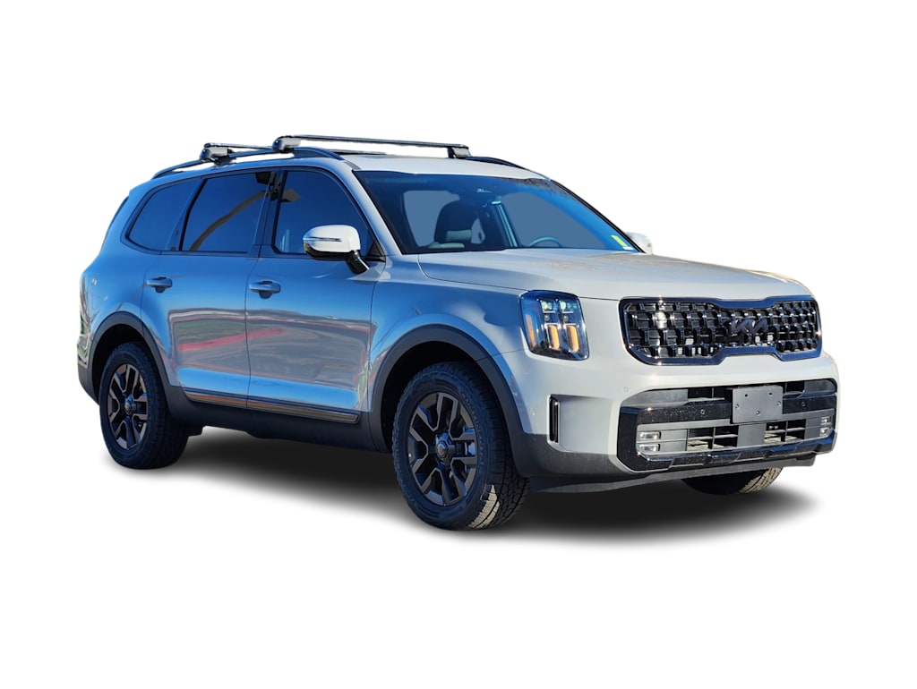 Thumbnail: 2025 Kia Telluride - 18