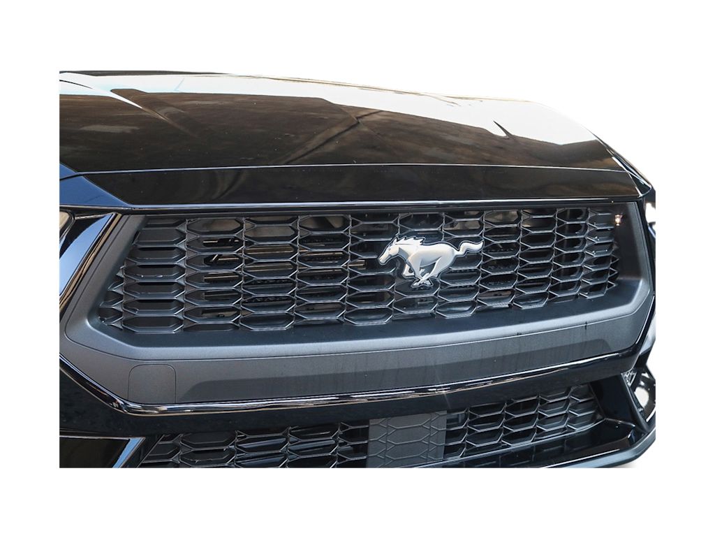 Thumbnail: 2025 Ford Mustang - 19