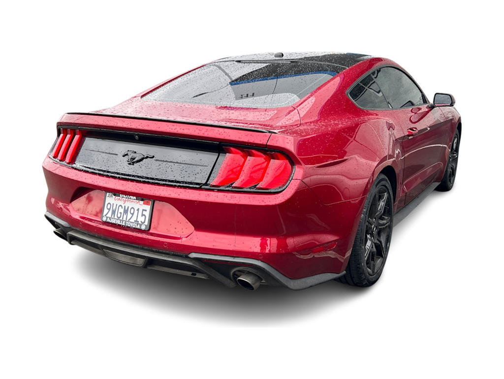 Thumbnail: 2019 Ford Mustang - 10