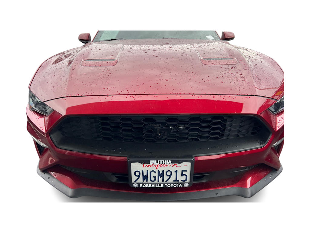 Thumbnail: 2019 Ford Mustang - 14