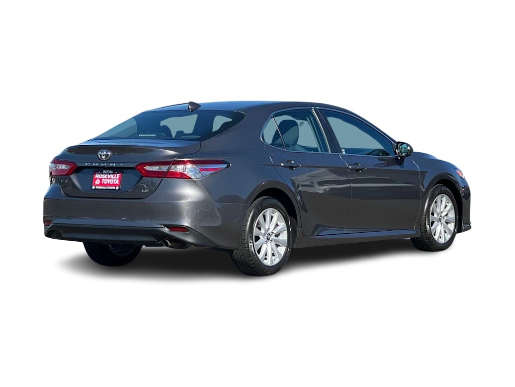 2019 Toyota Camry LE 17