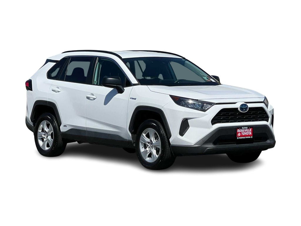 2020 Toyota RAV4 LE 19