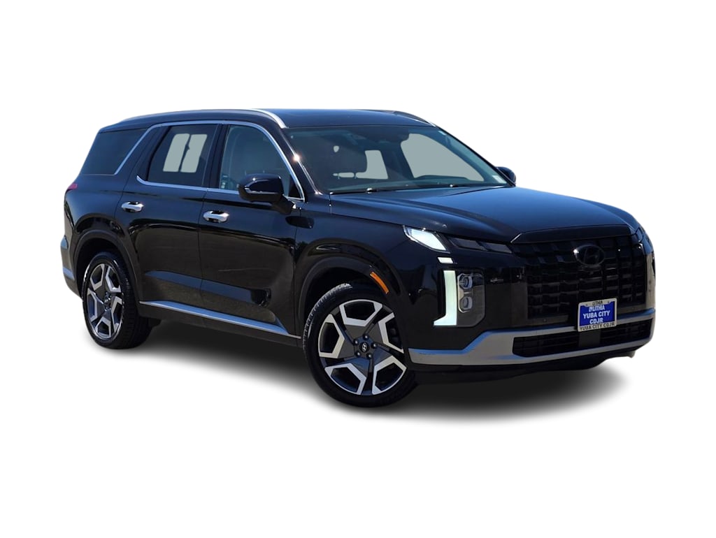 Thumbnail: 2024 Hyundai Palisade - 18