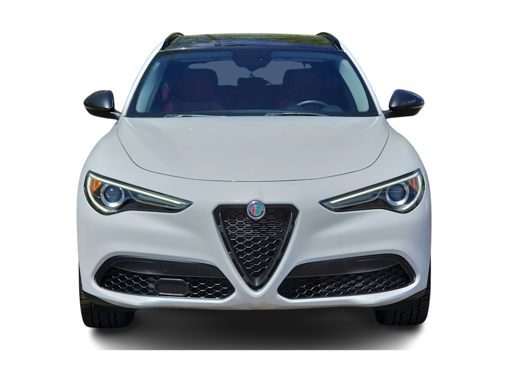 Thumbnail: 2019 Alfa Romeo Stelvio - 6