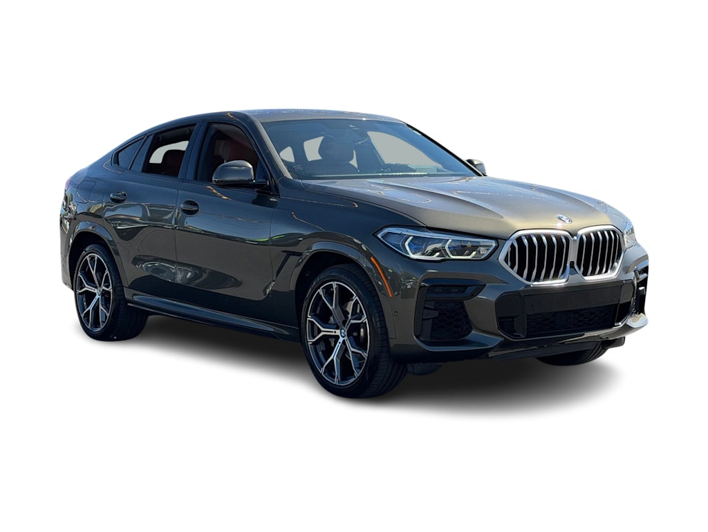 Thumbnail: 2022 BMW X6 - 19
