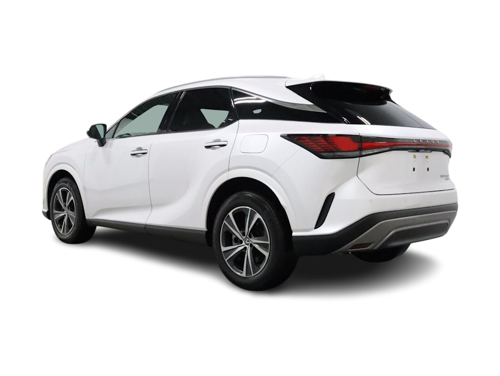 Thumbnail: 2024 Lexus RX - 4