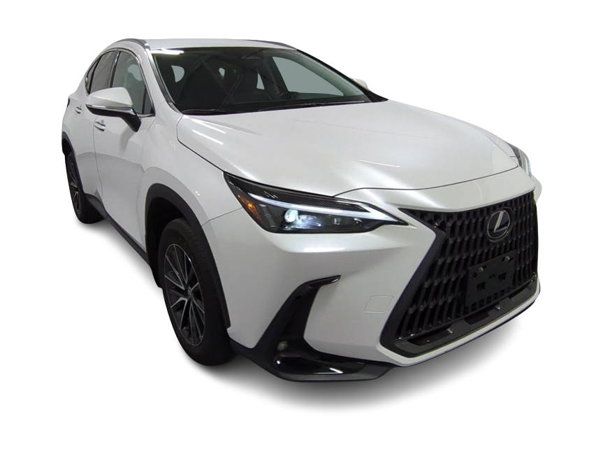 2022 Lexus NX 250 17