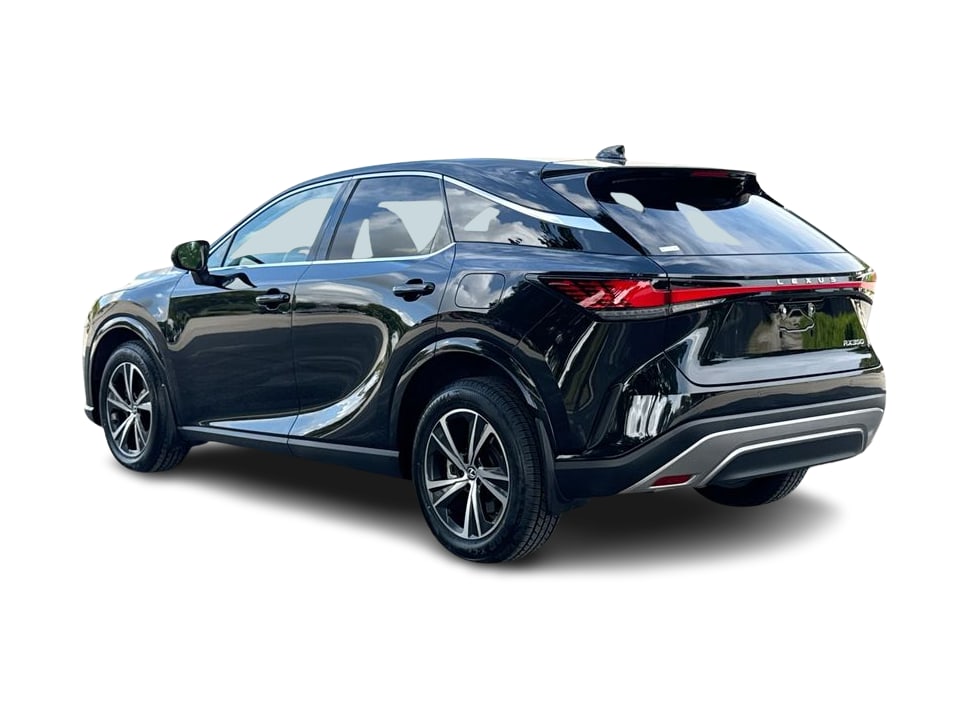 Thumbnail: 2024 Lexus RX - 4