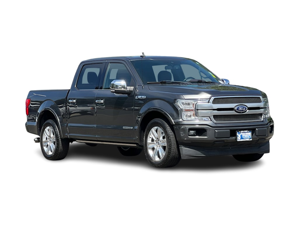 2020 Ford F-150 Platinum 17