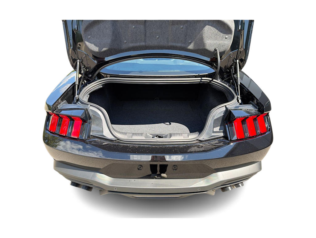 Thumbnail: 2025 Ford Mustang - 14