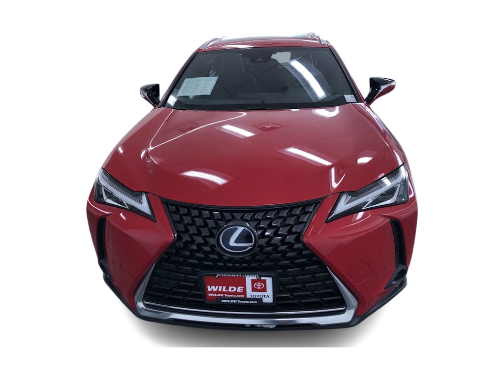 2019 Lexus UX 250h 30