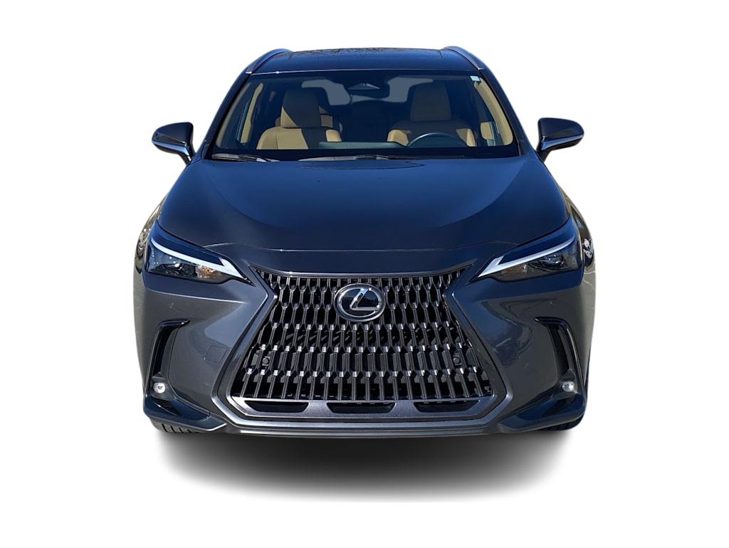 2022 Lexus NX 250 6