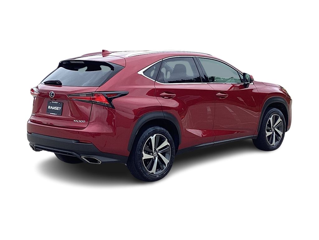 2019 Lexus NX 300 21