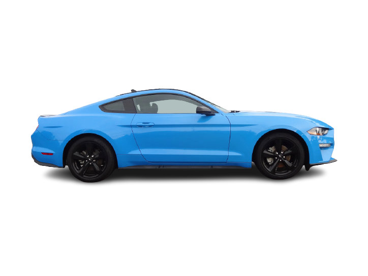 Thumbnail: 2022 Ford Mustang - 16