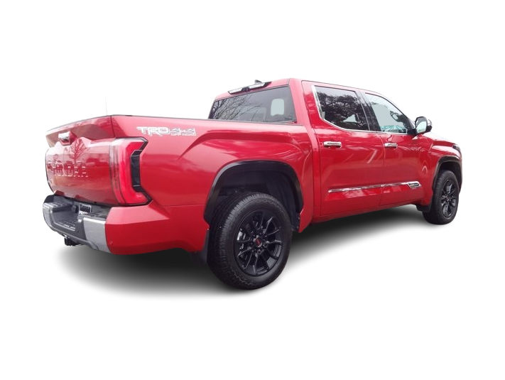 2023 Toyota Tundra 1794 Edition 17