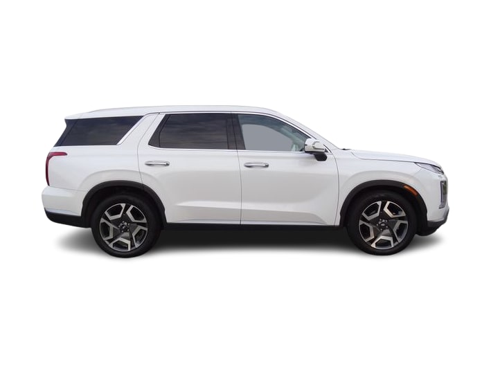 Thumbnail: 2025 Hyundai Palisade - 17