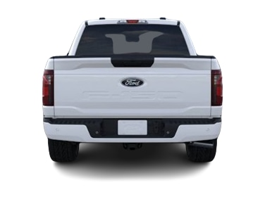 2025 Ford F-150 STX 5