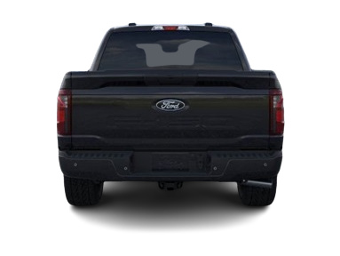 2025 Ford F-150 STX 5