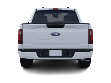 2025 Ford F-150 STX 5