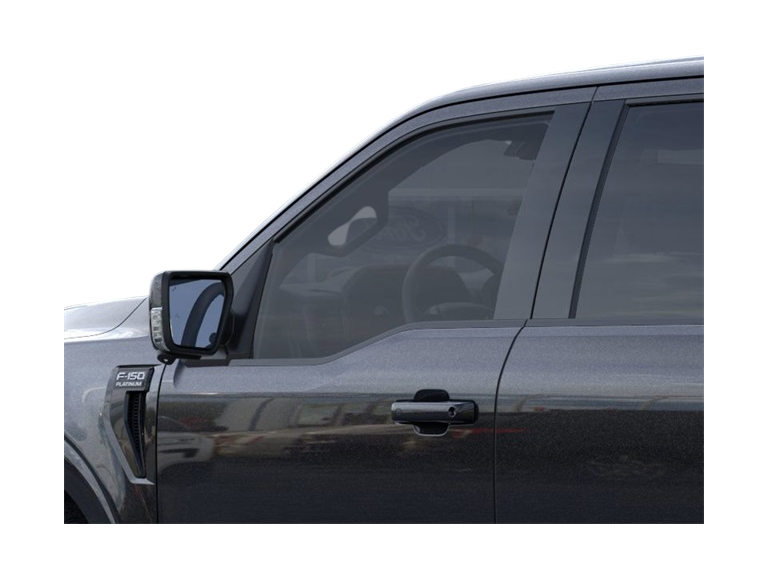 2025 Ford F-150 Platinum 20