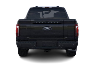 2025 Ford F-150 Platinum 5