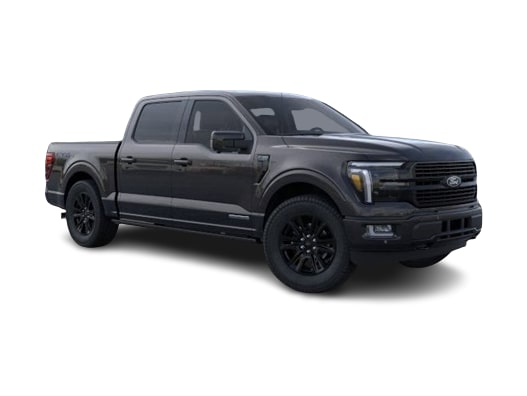 2025 Ford F-150 Platinum 13