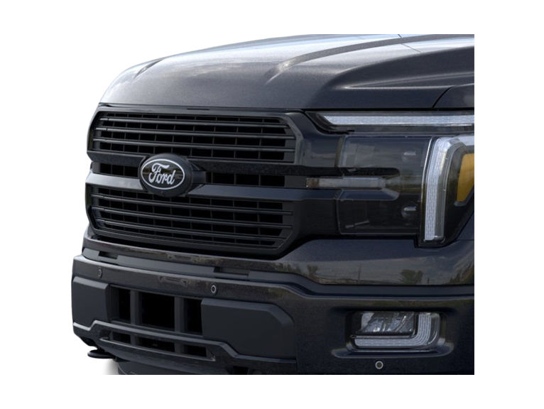 2025 Ford F-150 Platinum 18