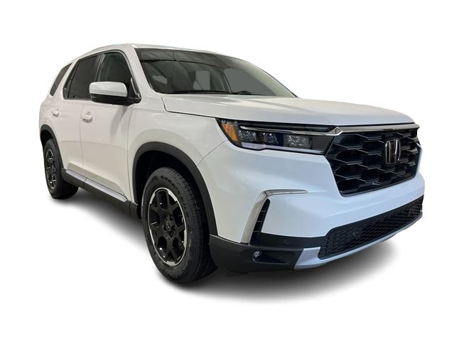 2025 Honda Pilot EX-L 19